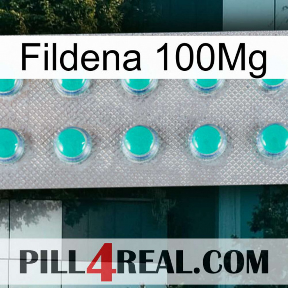 Fildena 100Mg 28.jpg